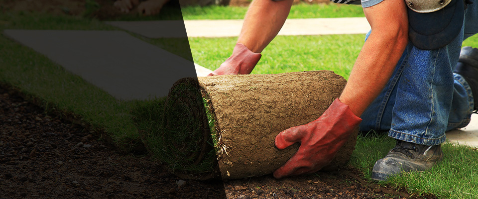 Hubert Landscapers